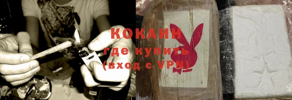 прущие крисы Ельня