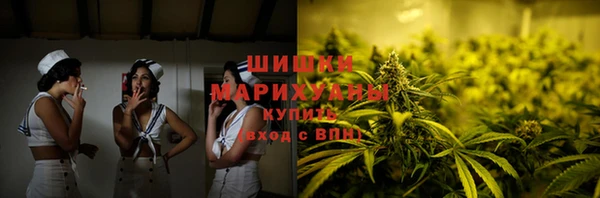 молекула духа Дмитровск