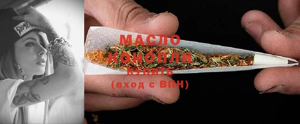 прущие крисы Ельня