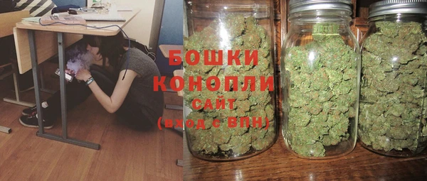 молекула духа Дмитровск