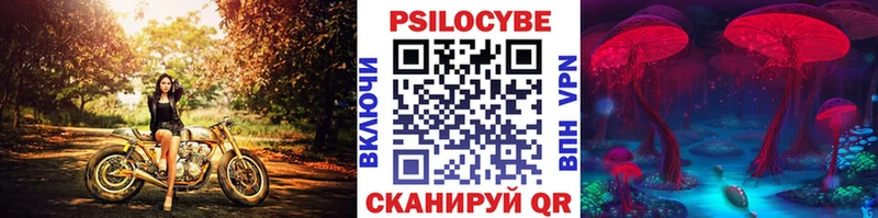 Купить  Нерехта  Псилоцибиновые грибы Psilocybine cubensis 